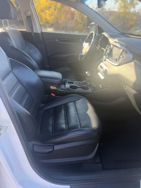 2019 KIA Sorento thumbnail 8
